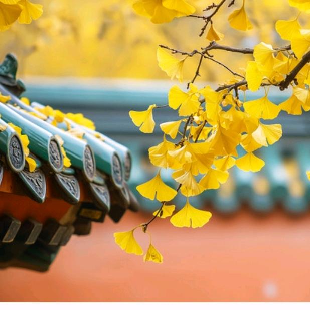 ❤️韩素芬