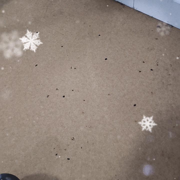 雨中人