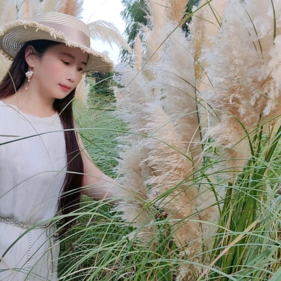 秋日私语