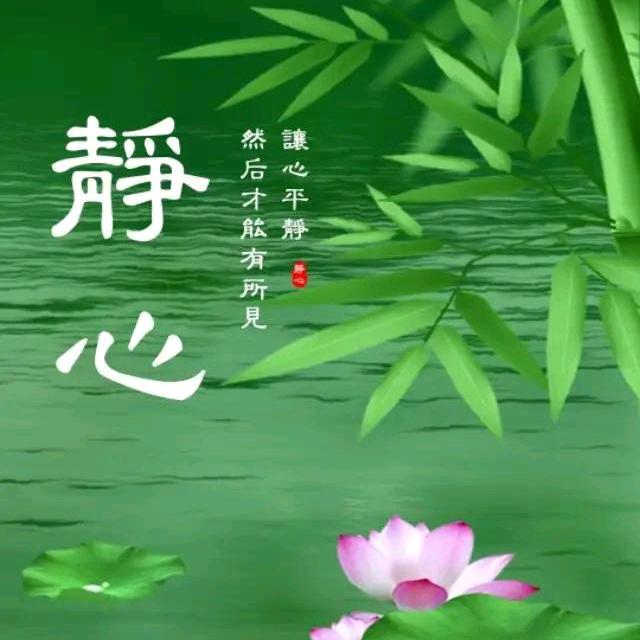 静心自在