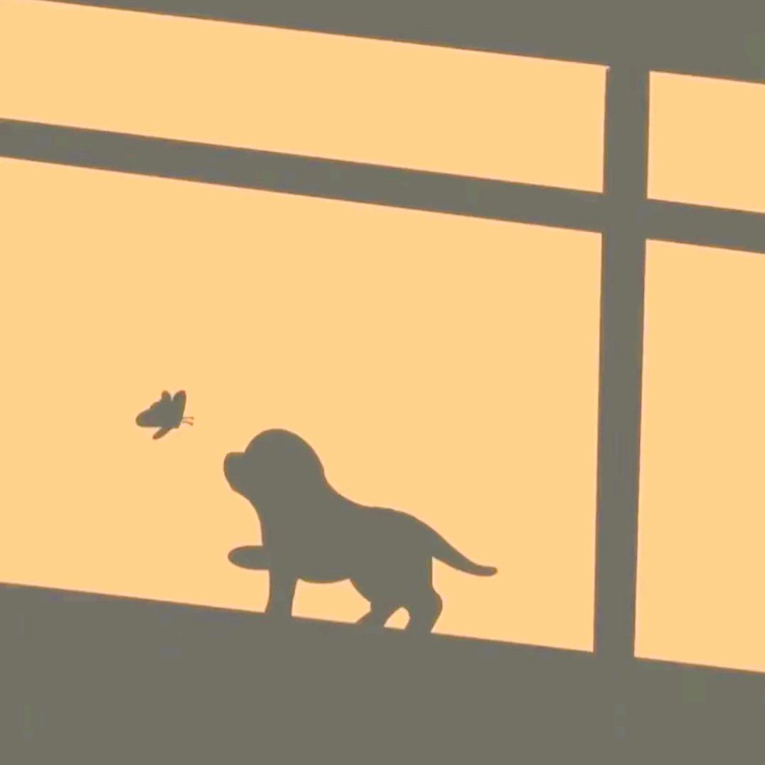 大龄双非博士的日记本。