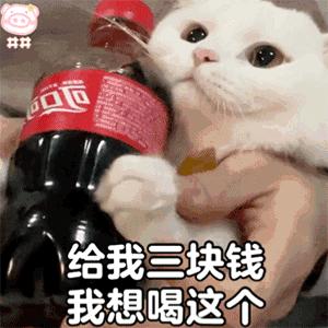 夜雨声声