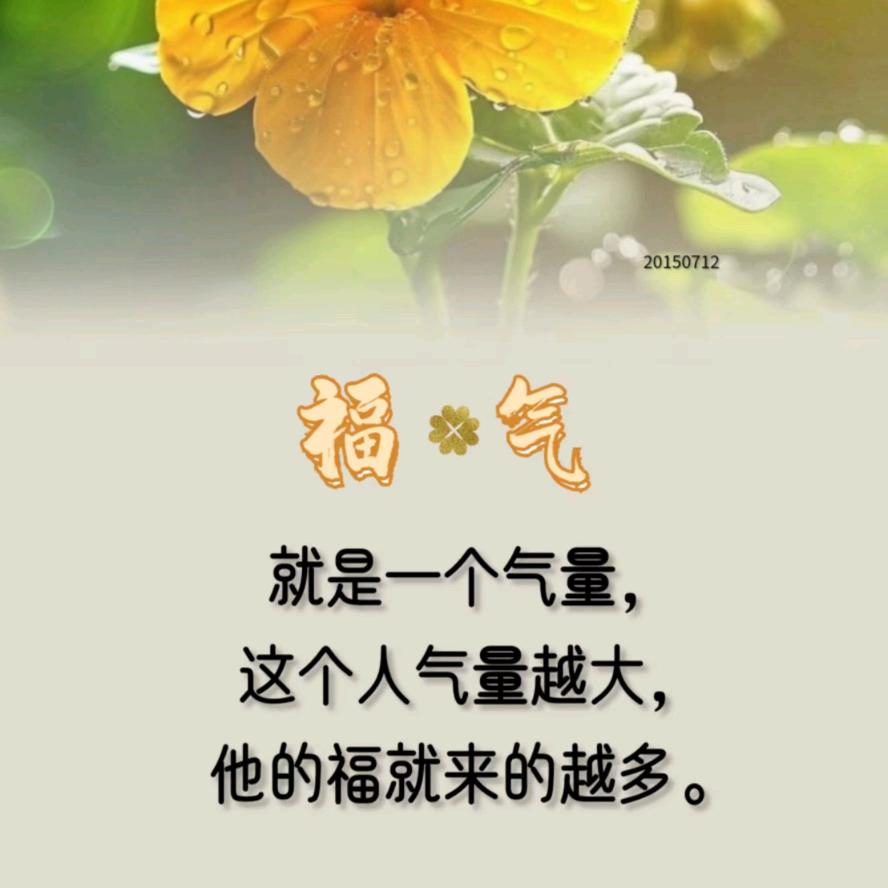 沐槿🏵️红娘
