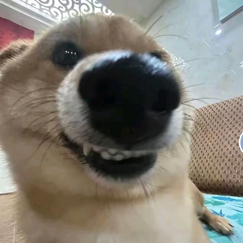 ⚠️安全中心提醒您