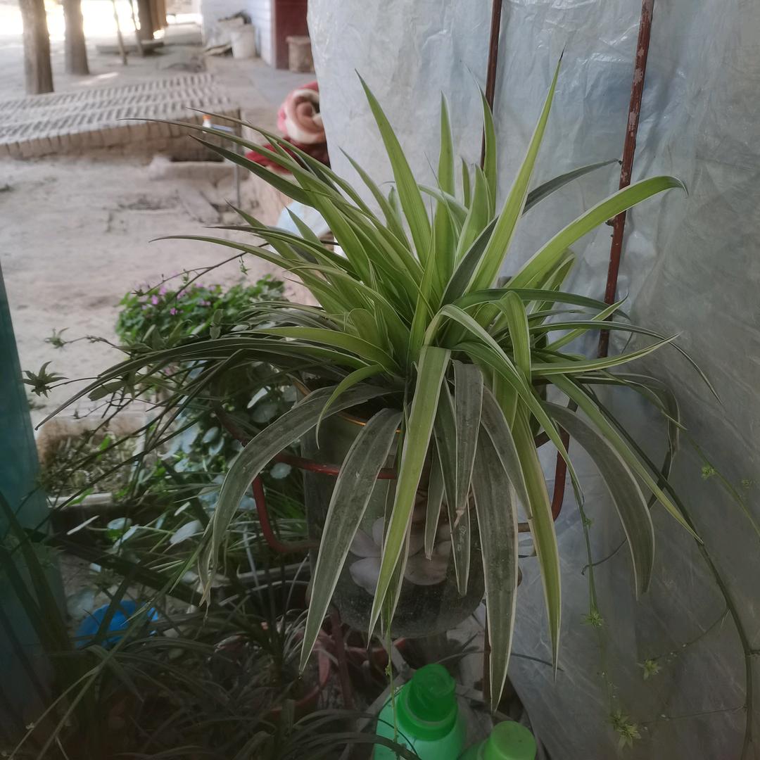 凤臻垣雷超市