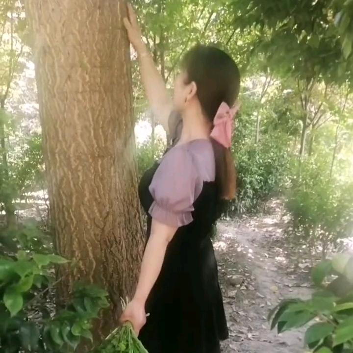 芦雅
