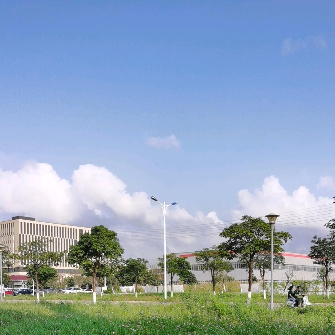 企鹅不是鹅