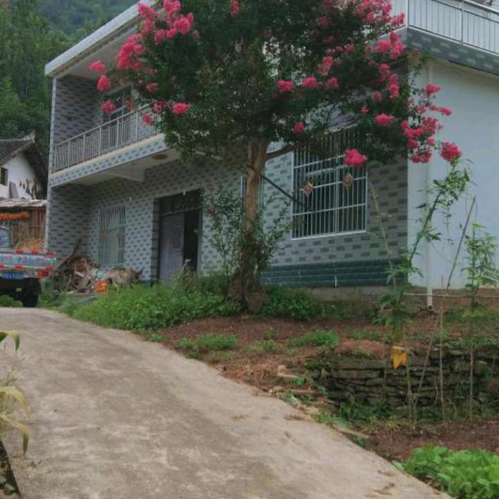 专业铺砖装修党师傅