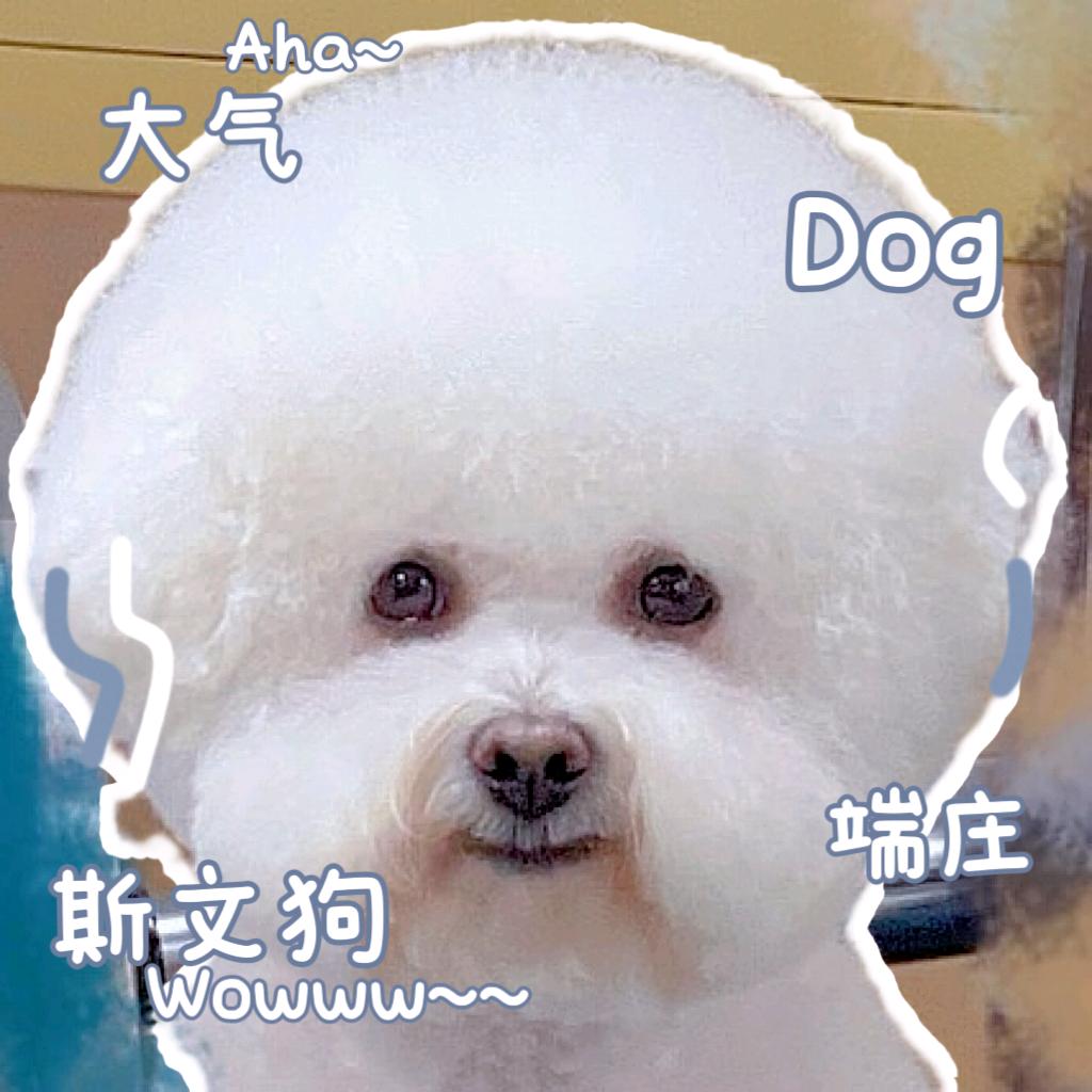 汪喵の生活馆