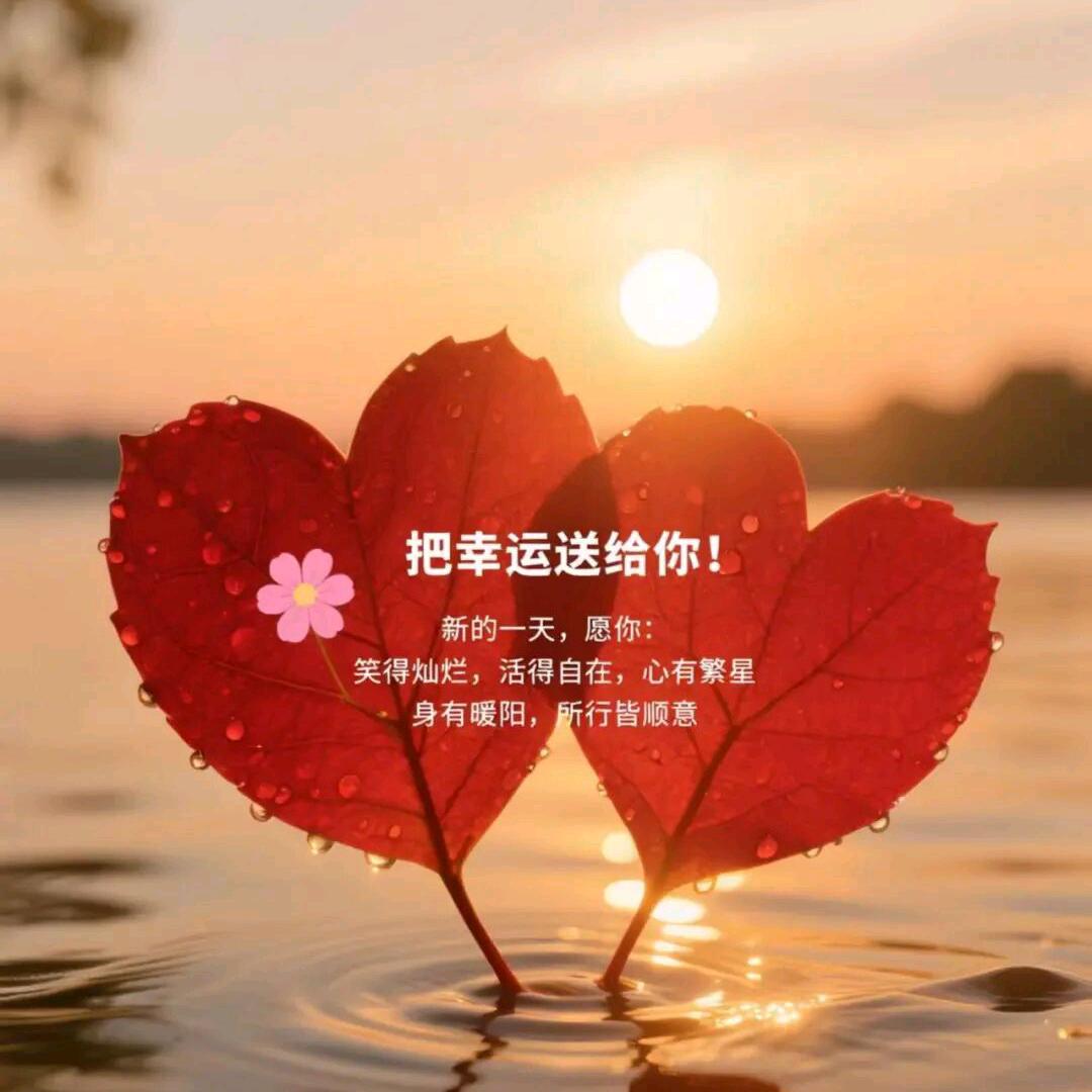 不求自己快乐，只求父母平安🙏