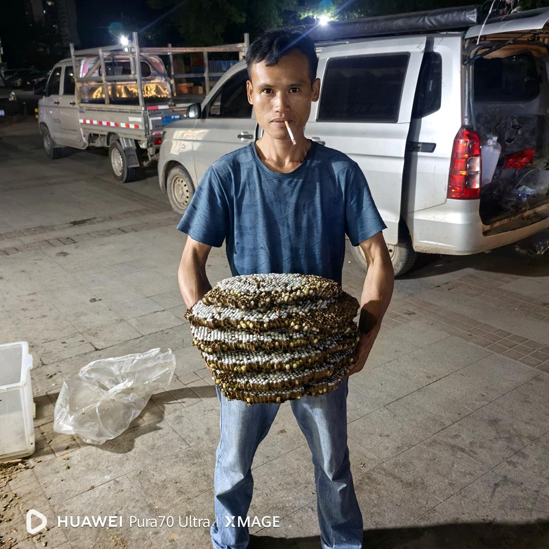 户外疯子+钓鱼人啊粉