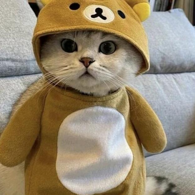 是小乐呀