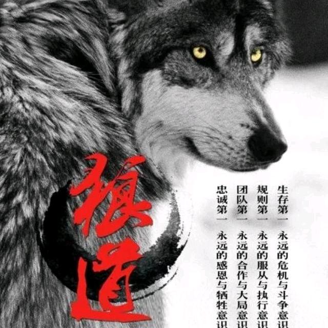 苍狼