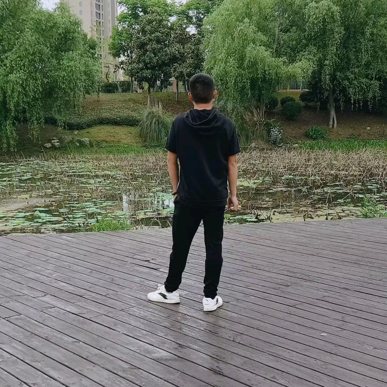 小杨哥生活日记