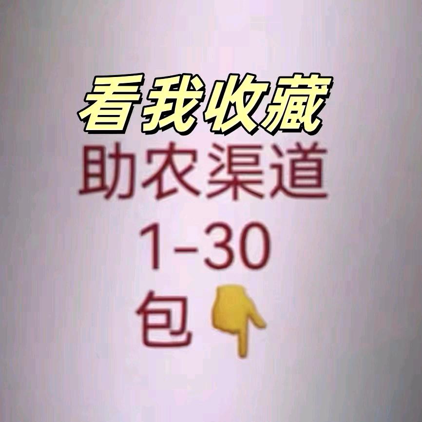炮哥金服
