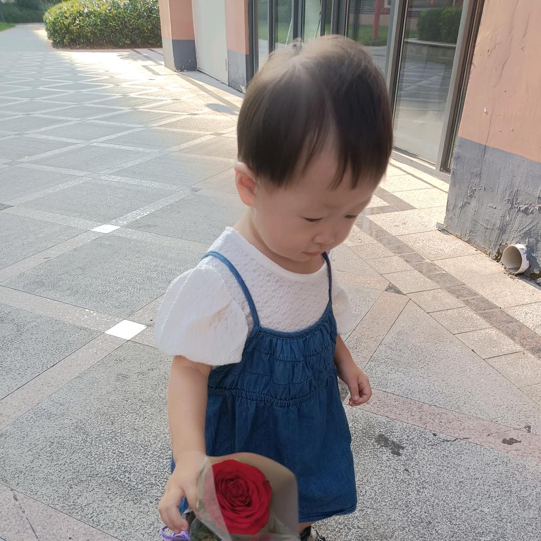 邵壮不努力