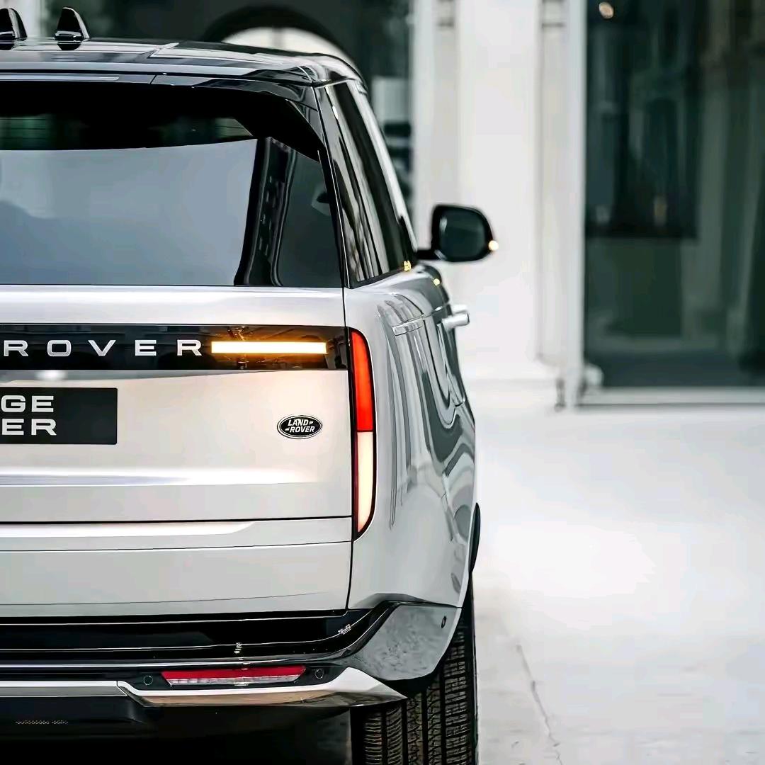 💭西柚味儿的柠檬🍋