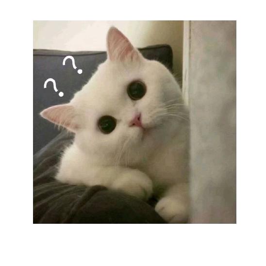 风的脚印儿