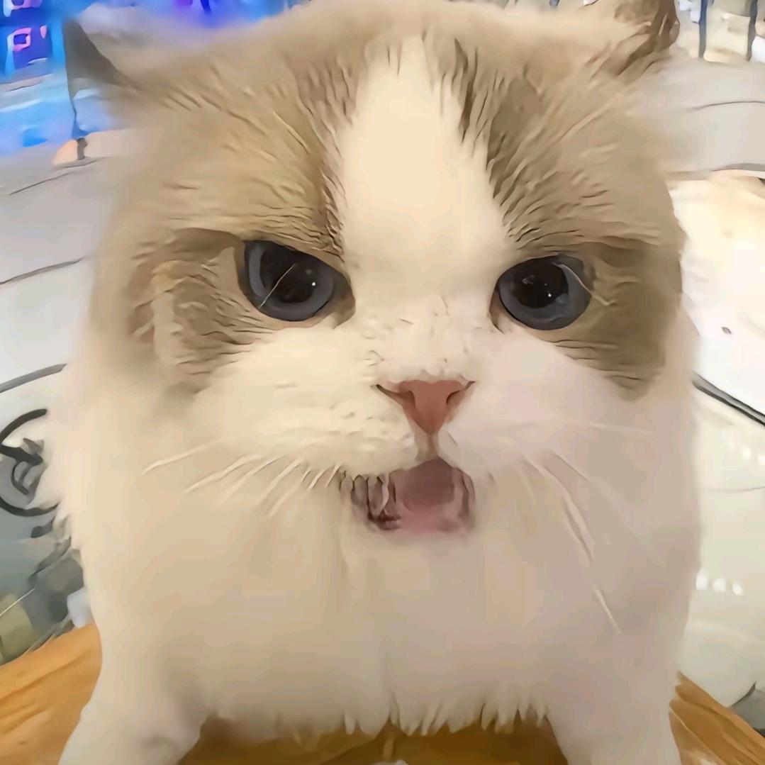 抚琴寄相思