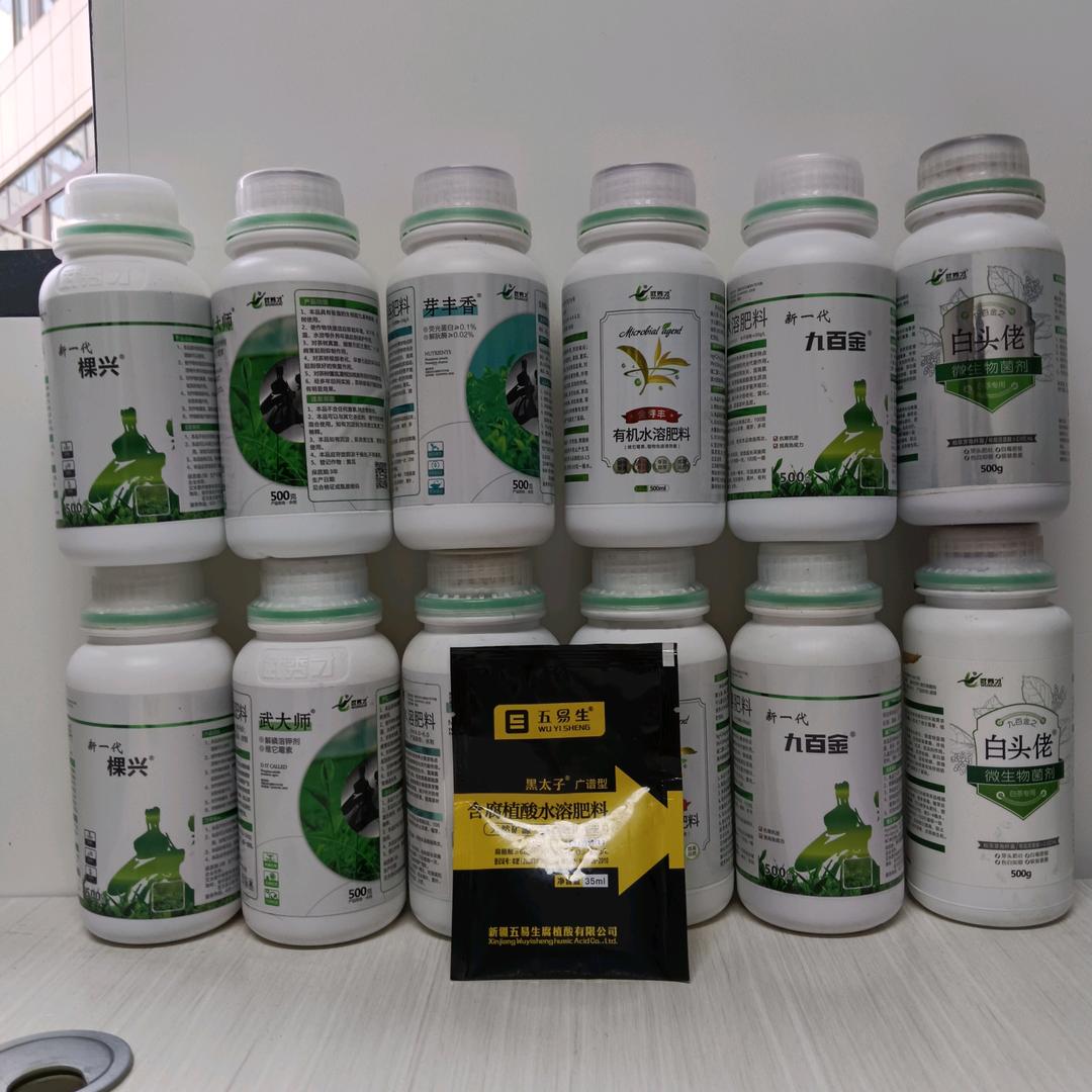 茶树技术员小娜