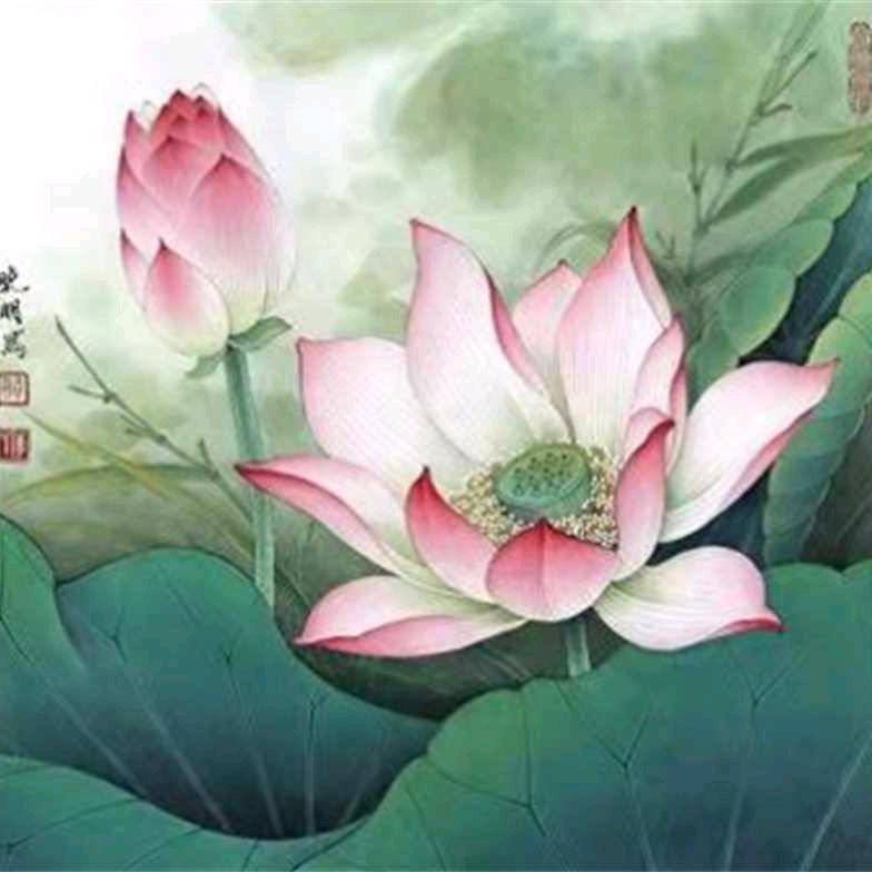 快乐姐