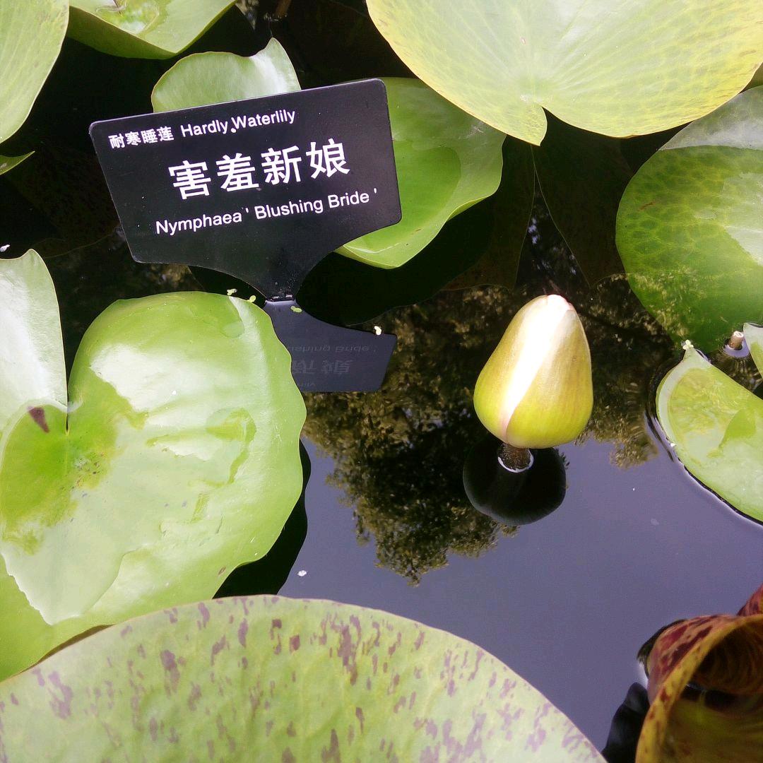 🌹健康就好🌹