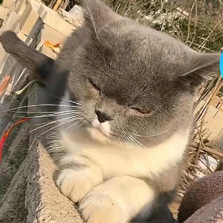 🈚名灬腕儿