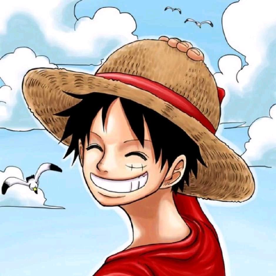 海贼王路飞