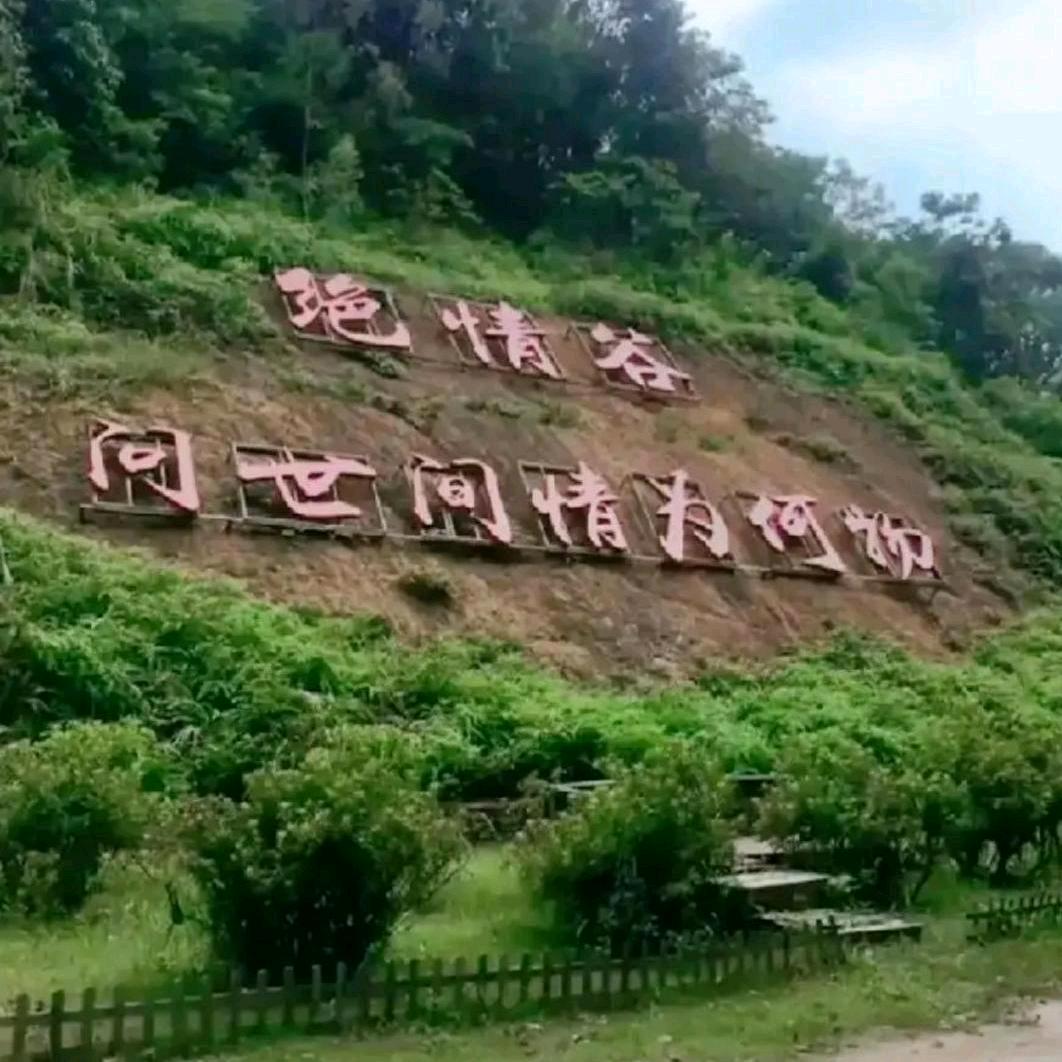 呼欢的阴影永远美好2017年8月十五好菇