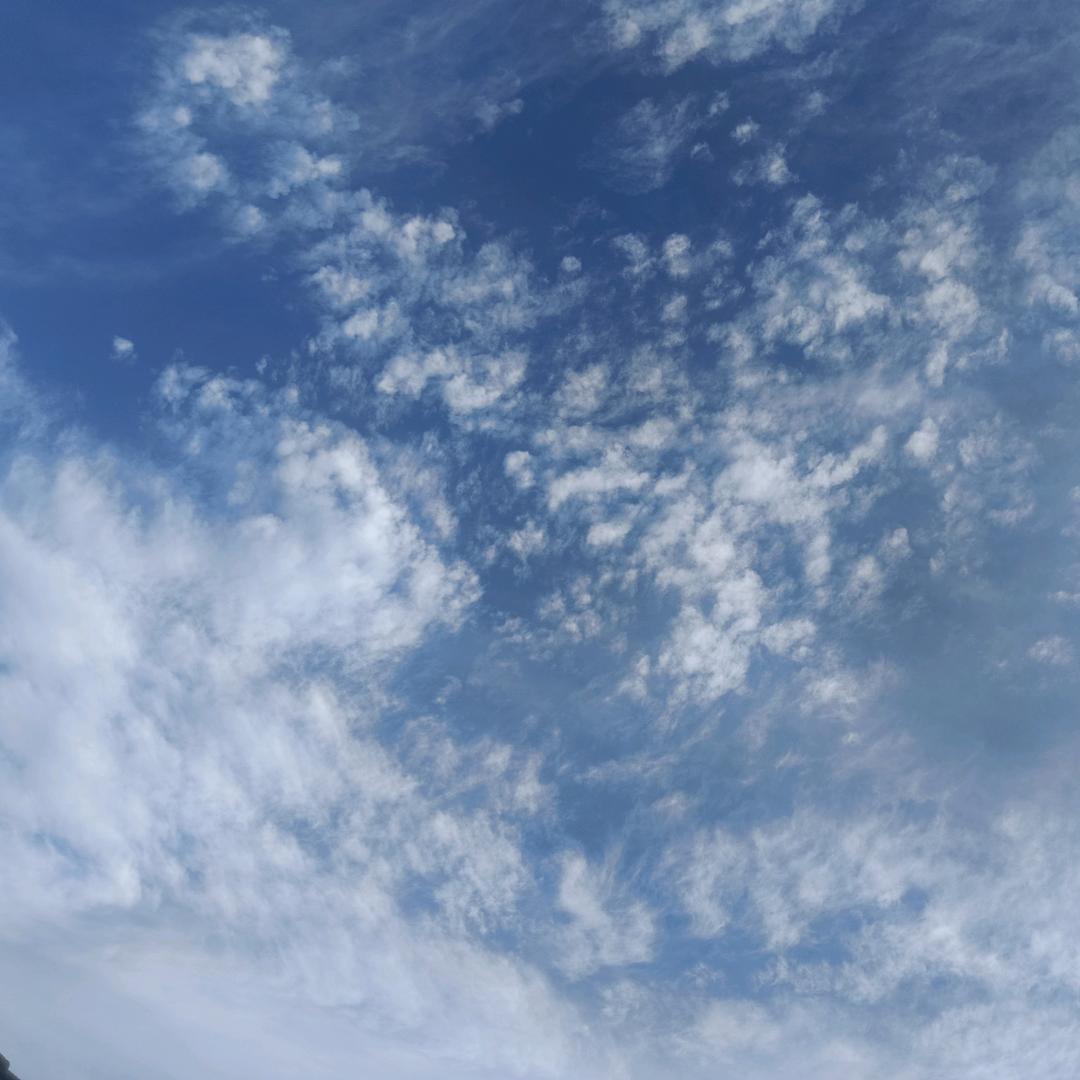 化州户外半乖憨