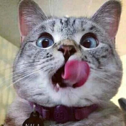 A 阿星🌟🌟🌟，