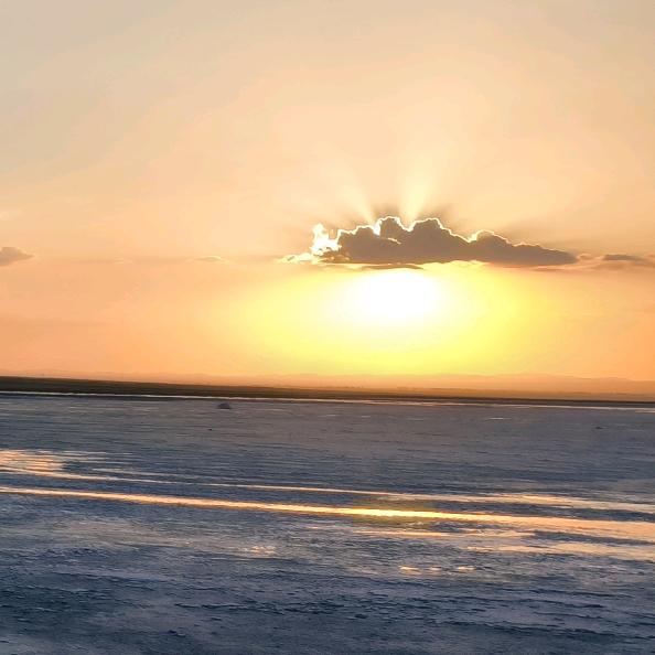 双河棉花种植技术探索