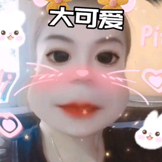 🐇华仔🐇