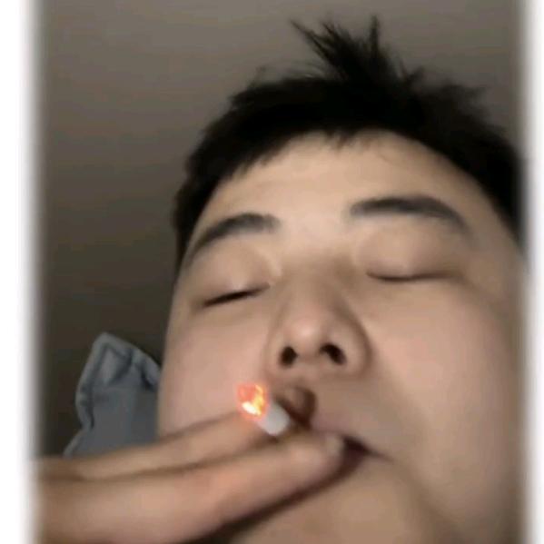 半个张泰艺