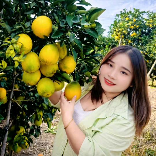 🍀凉白开哦🌷