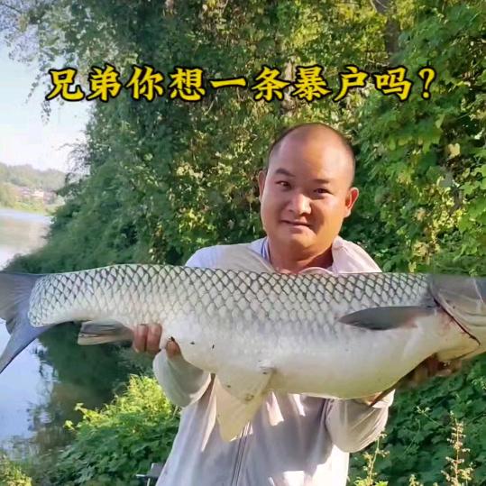 老捡钓鱼