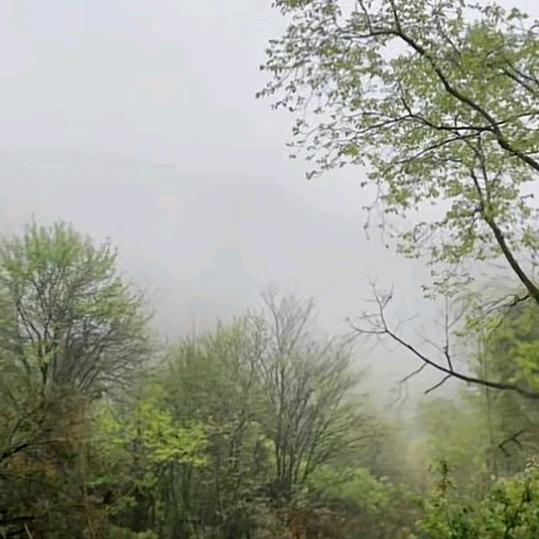 小北北