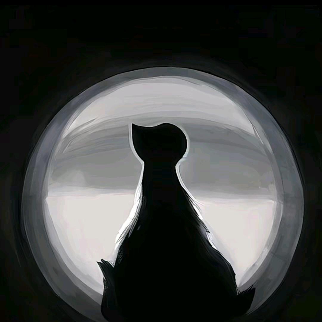 夏荷读书·印象