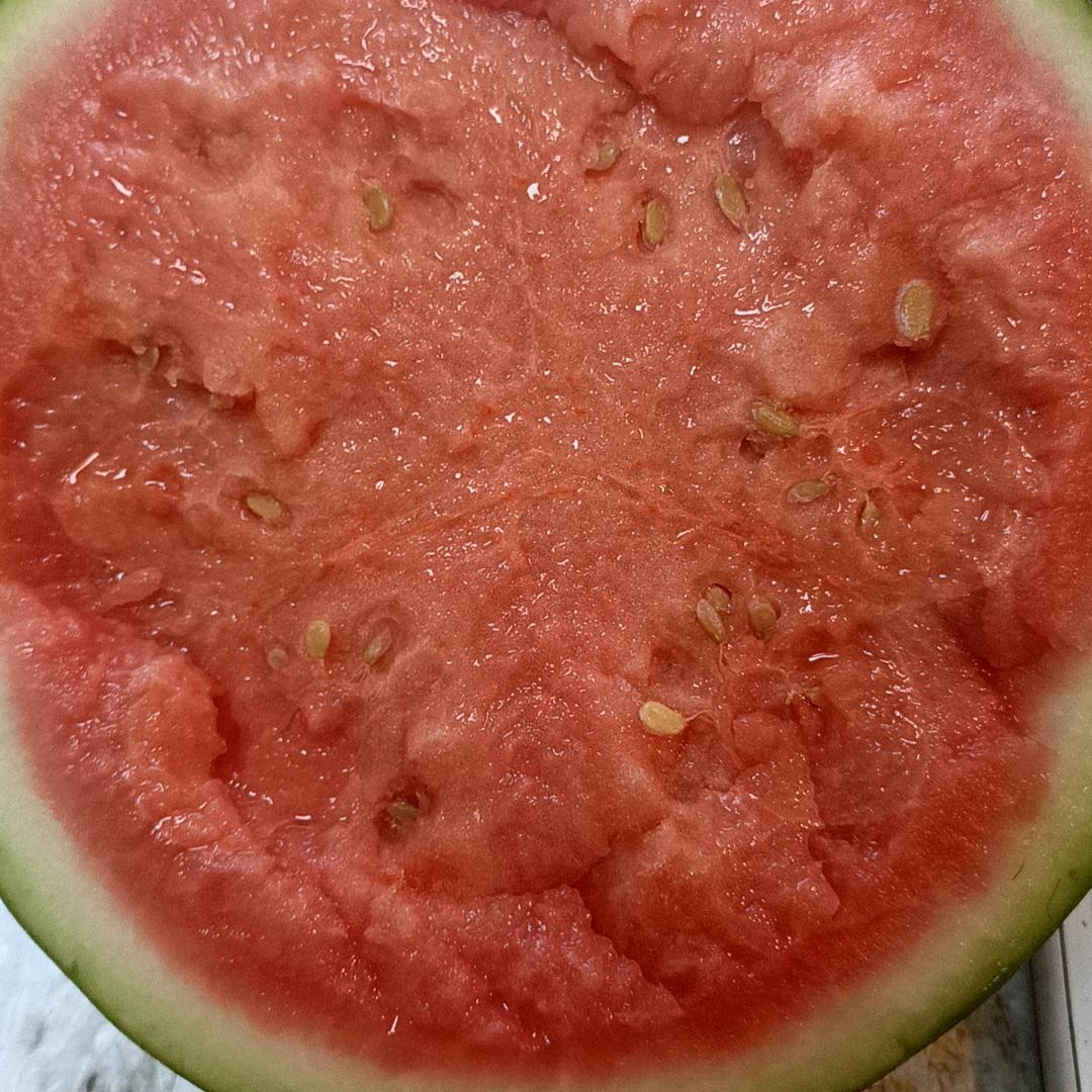 东庞村爱果优果批零