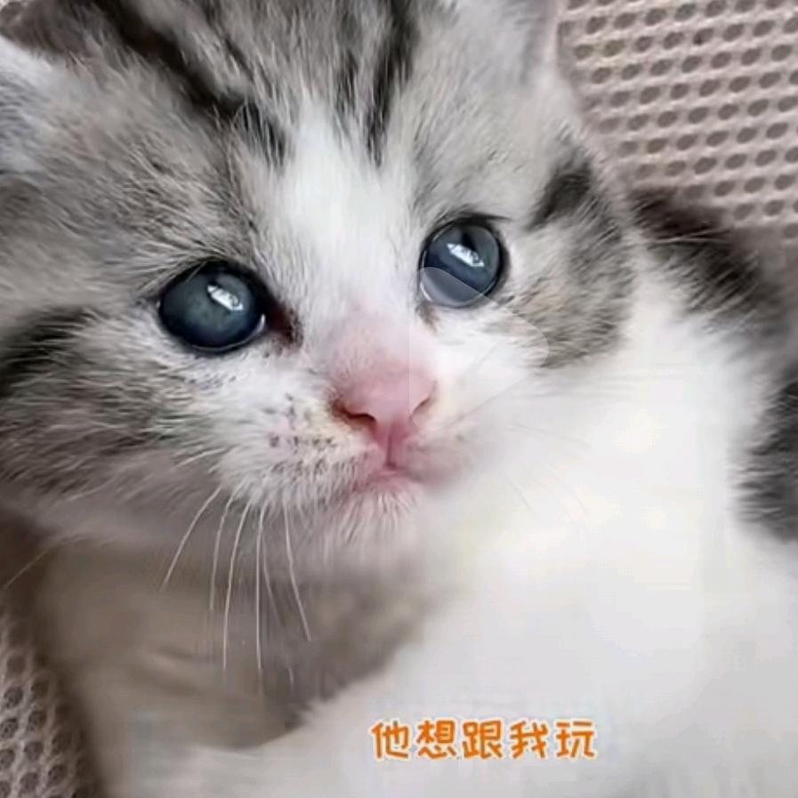 쏘화모