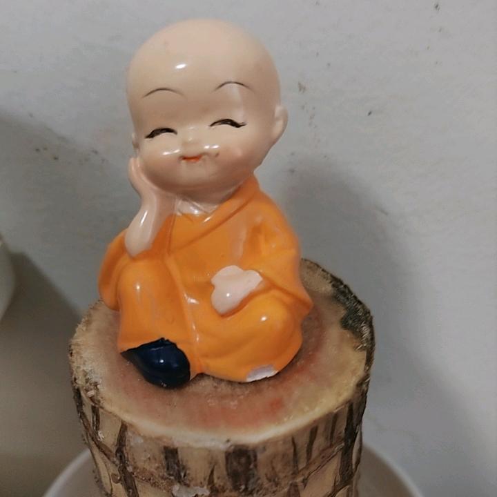 天山来客