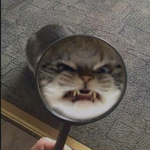 打工牛马趟昆明