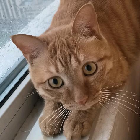 把我周瑜亲哥给我送过来