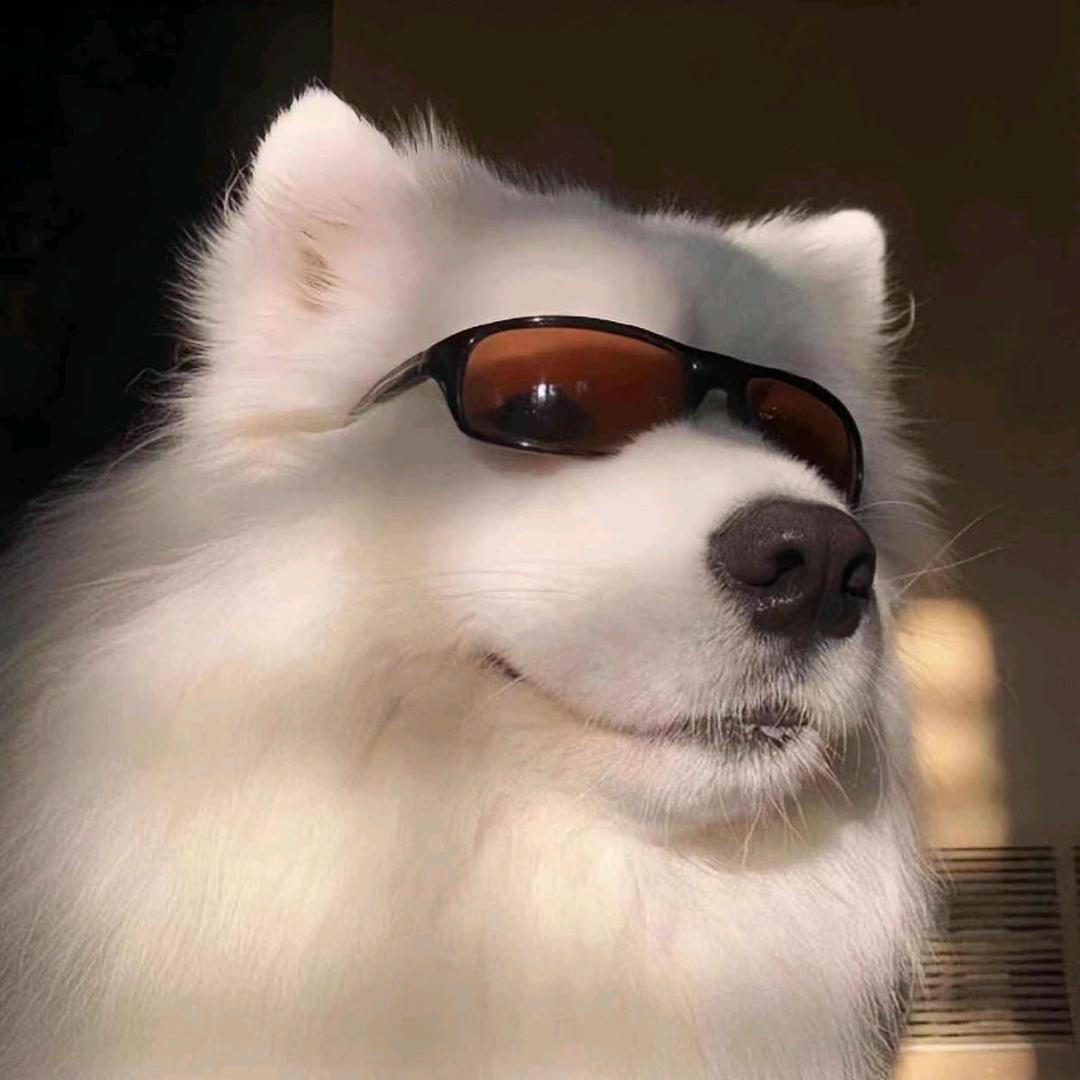 拾叁就是我