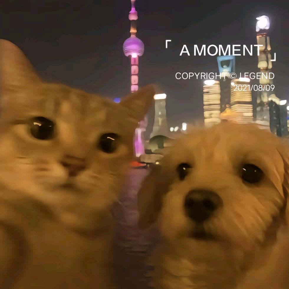 白夜行.