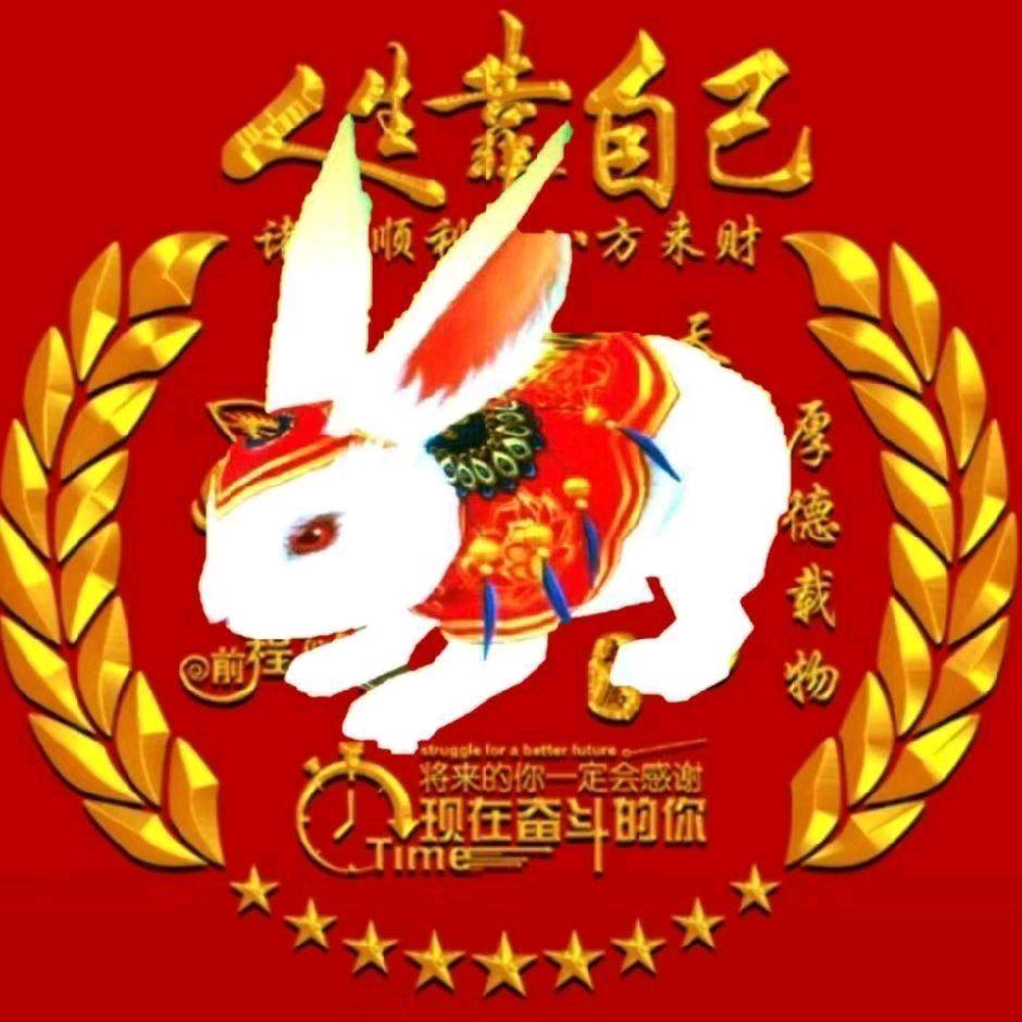 玉兔归巢