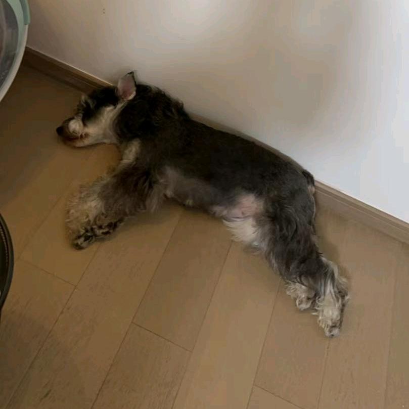 🐱（NINA)💜👅😘