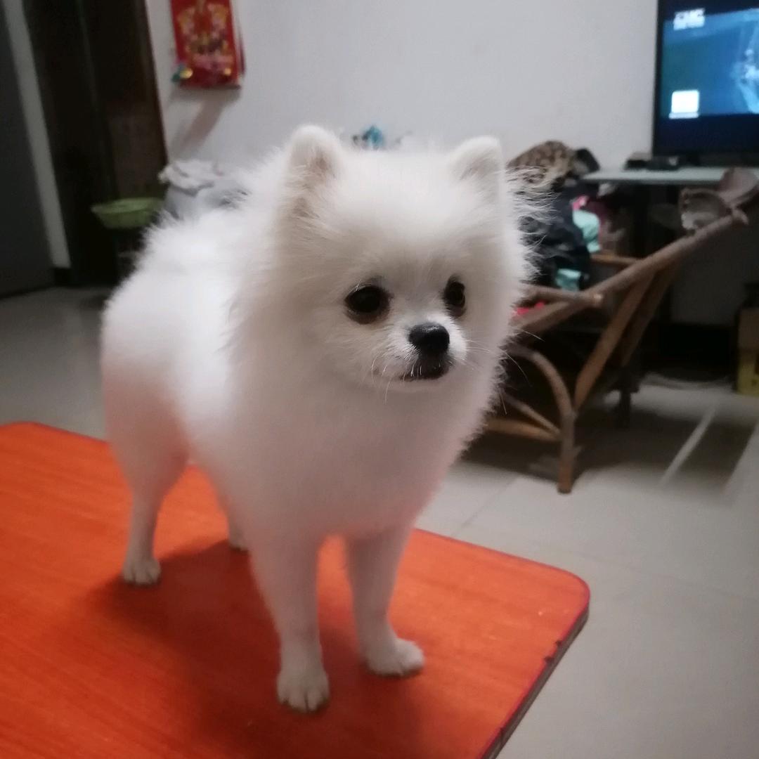 我想你了！
