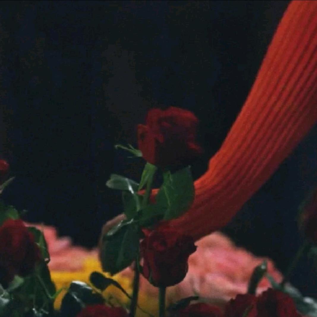 所以风会停的🦋