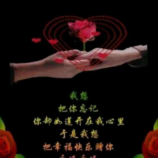 飘雨（拒私聊）